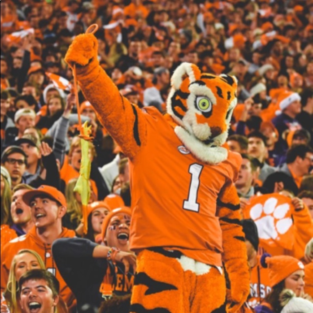 Meet your Posher, Grace